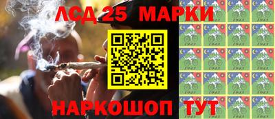 прущие грибы Новокубанск