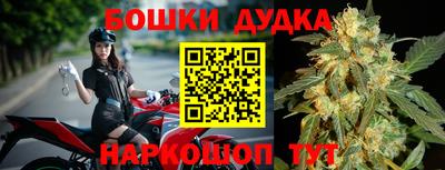 прущие грибы Новокубанск