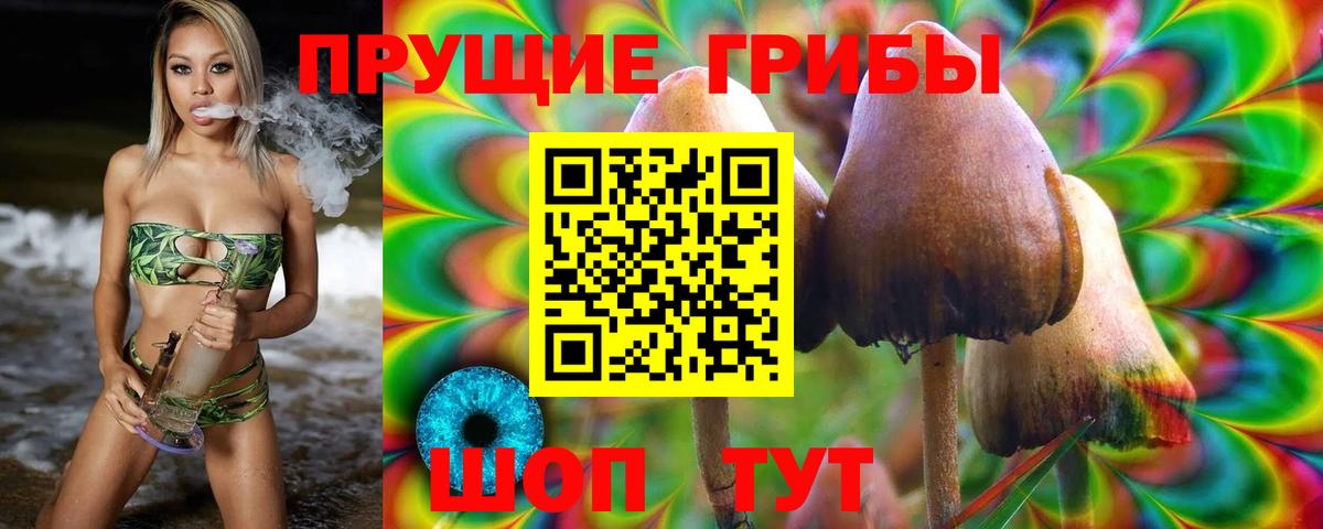 Родники  где продают наркотики  Вход с VPN  Галлюциногенные грибы мицелий 